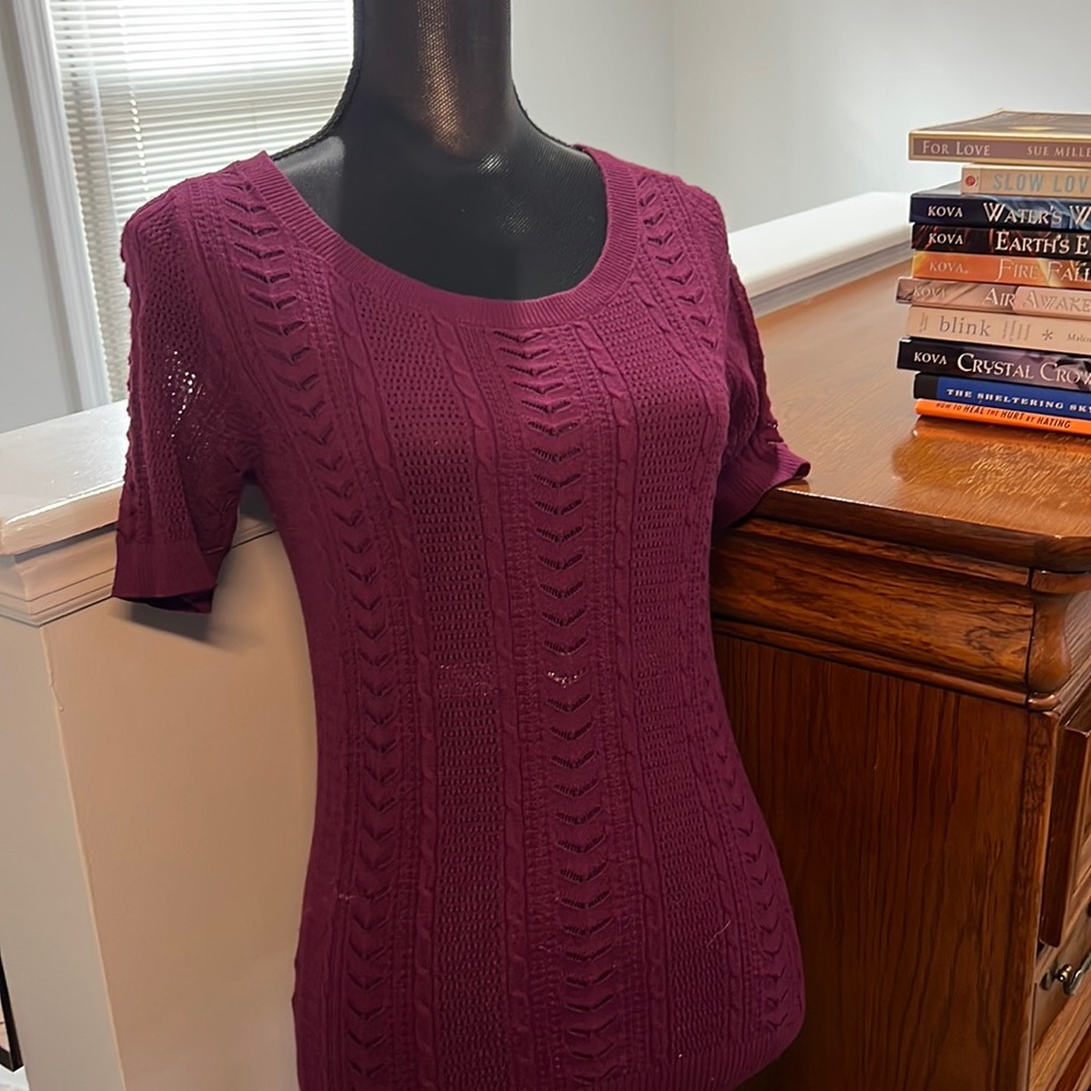 Ann Taylor short sleeved purple sweater